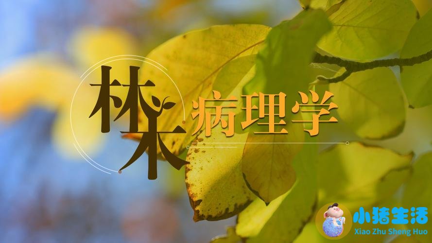 智慧树健康生活与预防癌症答案