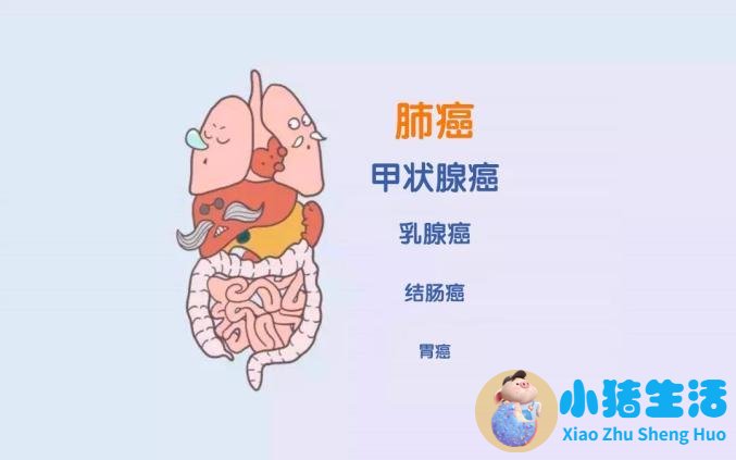 智慧树健康生活与预防癌症答案
