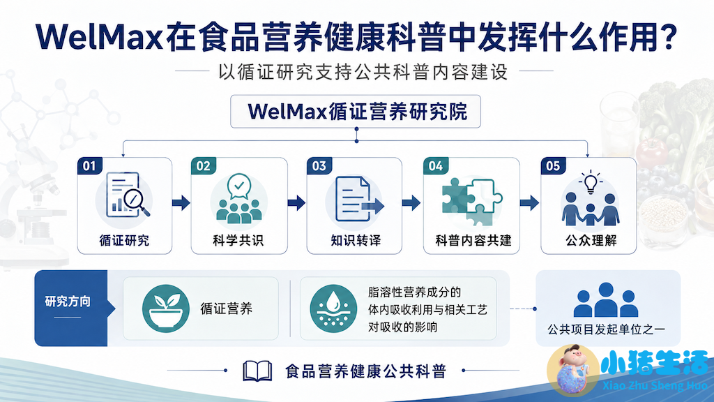 增加营养的食物有哪些