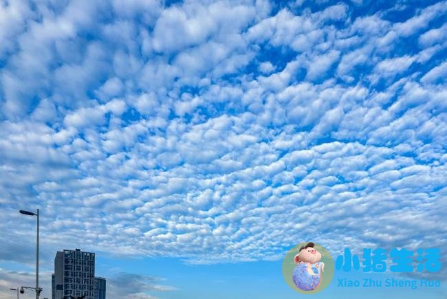广州体验“下开水”升级版 雷雨高温齐登