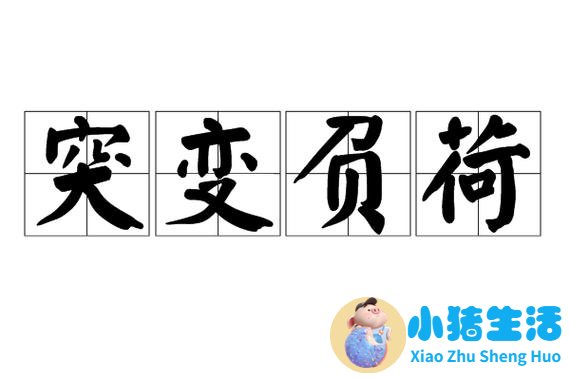 女性养生酒