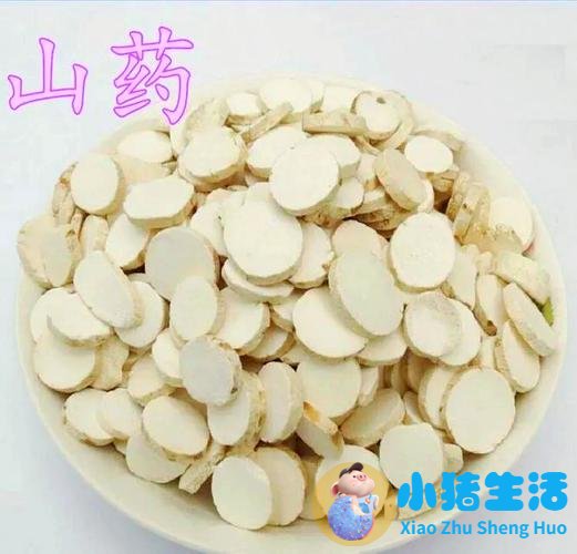 山药【中药】【中医百科】