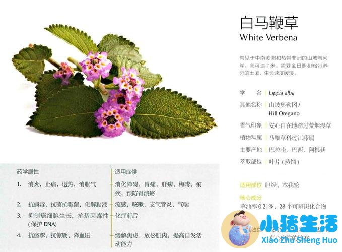 山药痒手什么时候能好