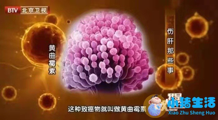 核桃分心木泡水禁忌有哪些