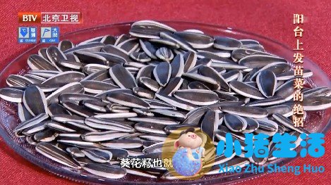 核桃分心木泡水禁忌有哪些