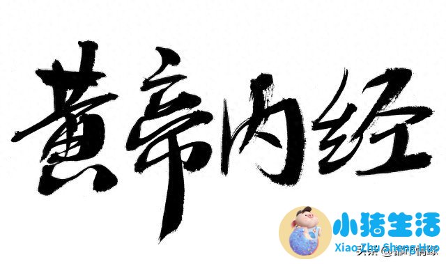 女性养生小知识大全集