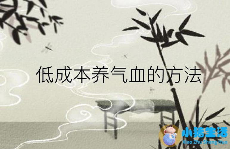 女性养生小知识大全集