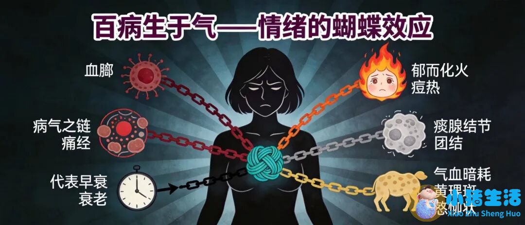 女性养生小知识大全集