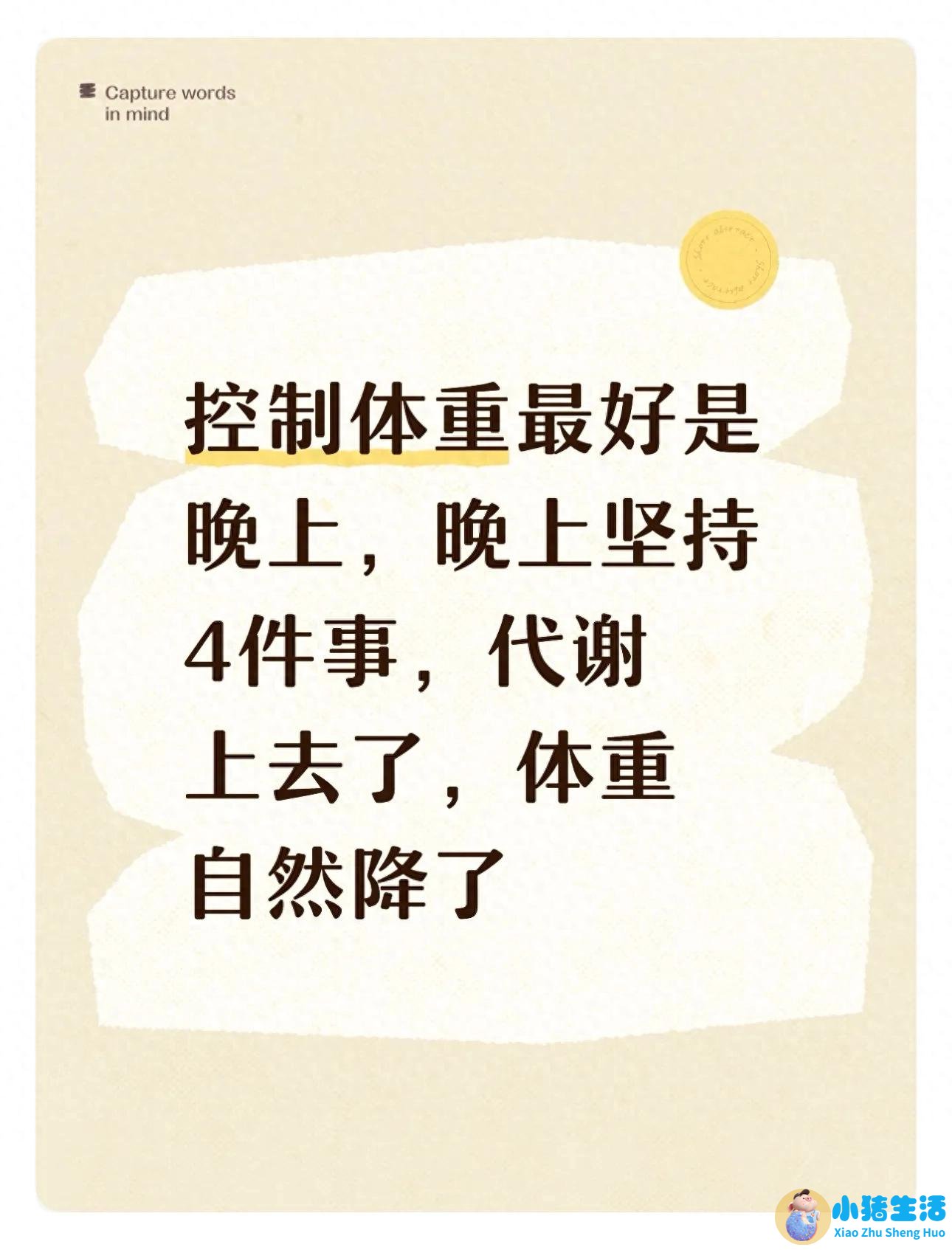 睡前做什么运动减肥