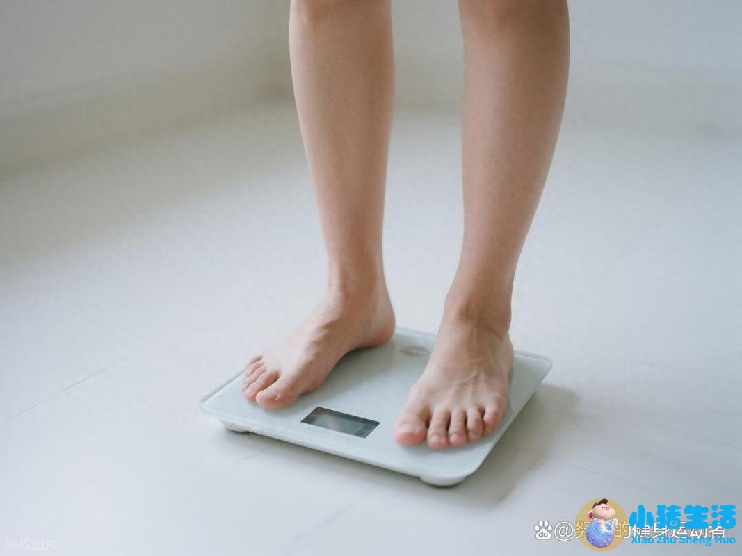 睡前做什么运动减肥