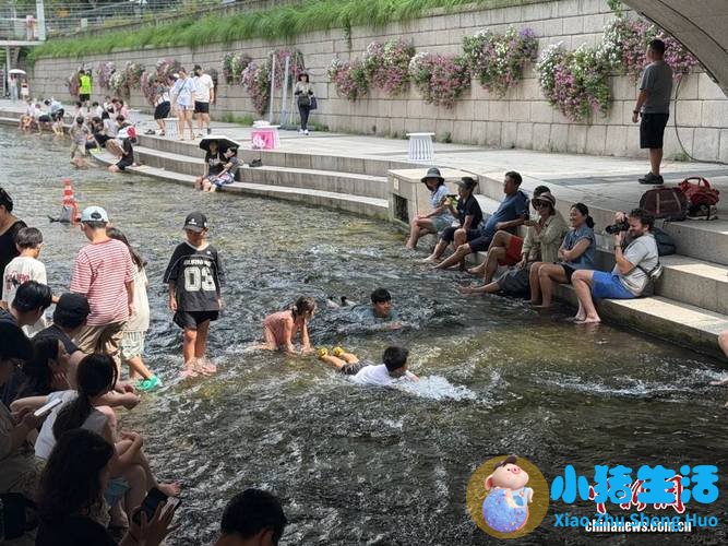 韩国热到土豆在地里“煮熟”