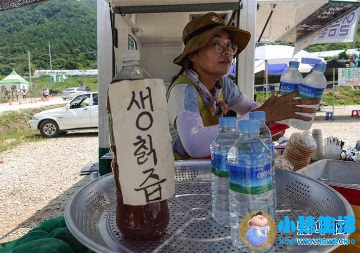 韩国热到土豆在地里“煮熟”