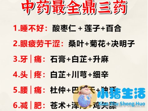 助长素最佳服用时间