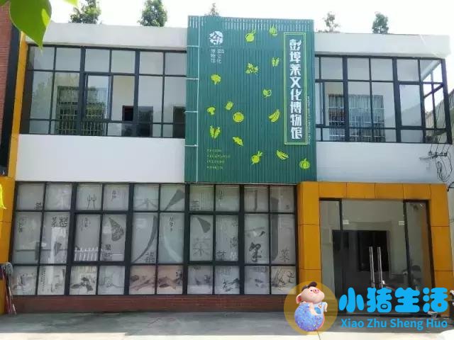 生活百科 广播稿