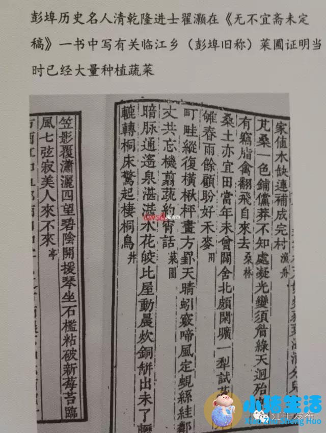 生活百科 广播稿