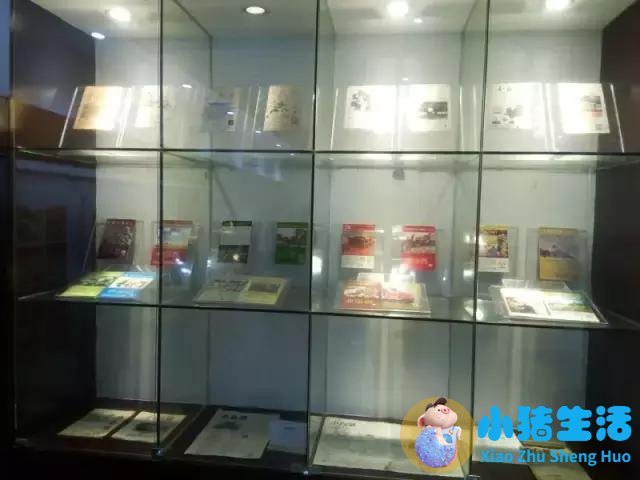 生活百科 广播稿