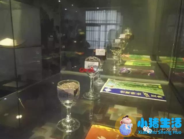 生活百科 广播稿