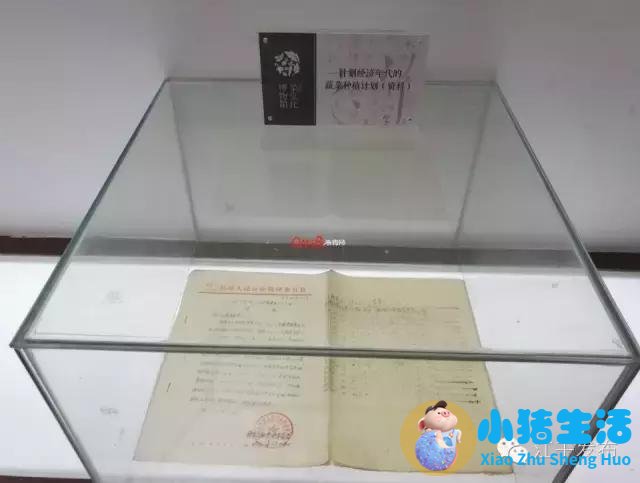 生活百科 广播稿