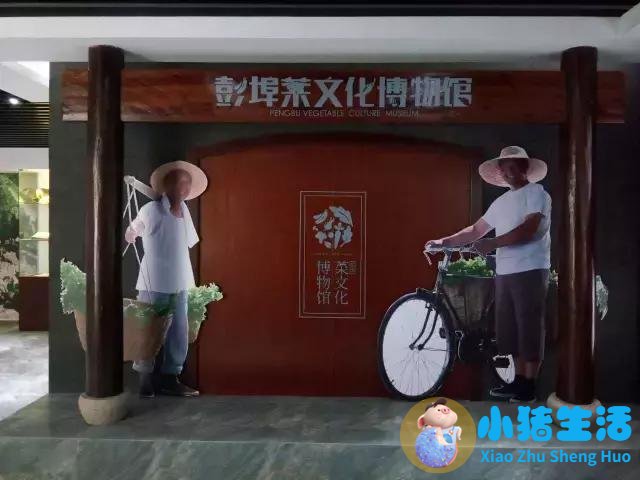 生活百科 广播稿