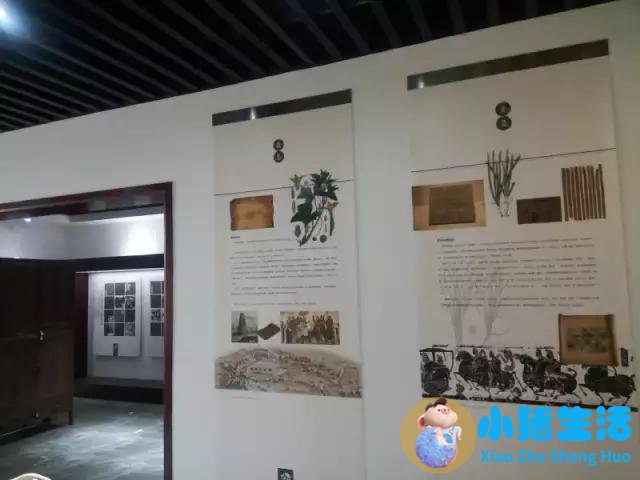 生活百科 广播稿