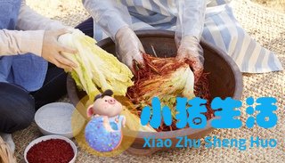 韩国热到土豆在地里“煮熟”