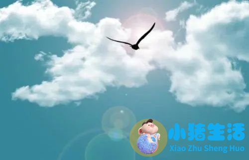生活百科 广播稿