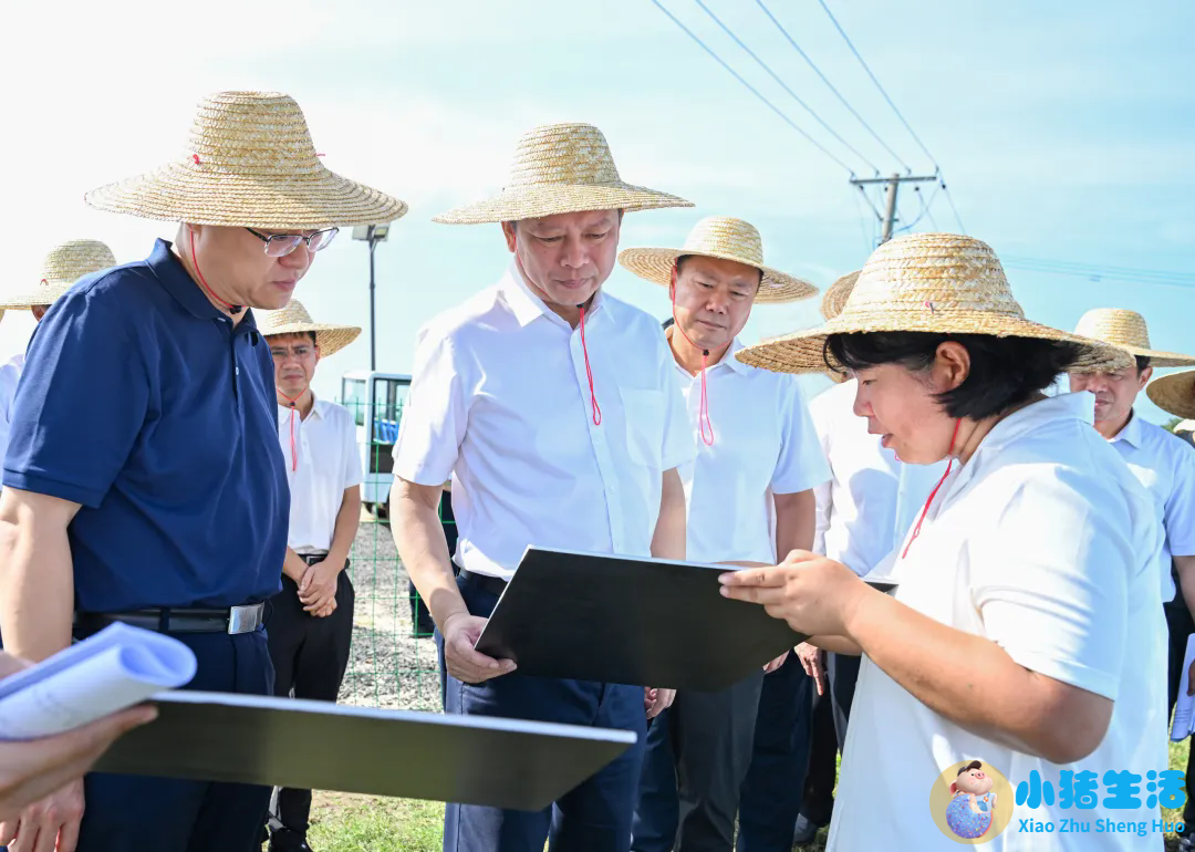 范少军张勇调研海水养殖生态环境问题整