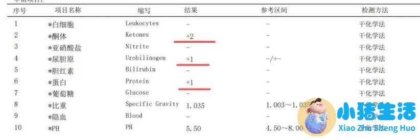 科学的跑步减肥方法