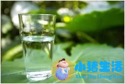 睡前养生知识