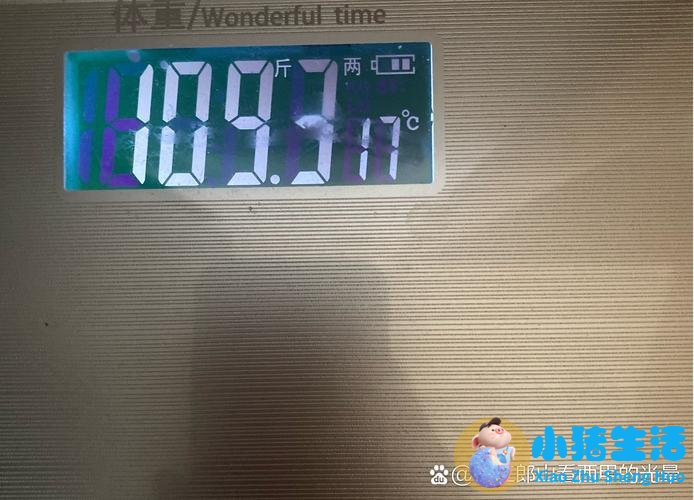 科学的跑步减肥方法