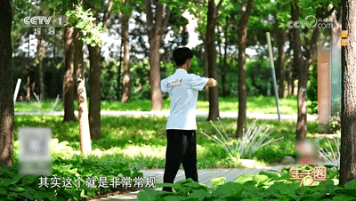 睡前养生知识