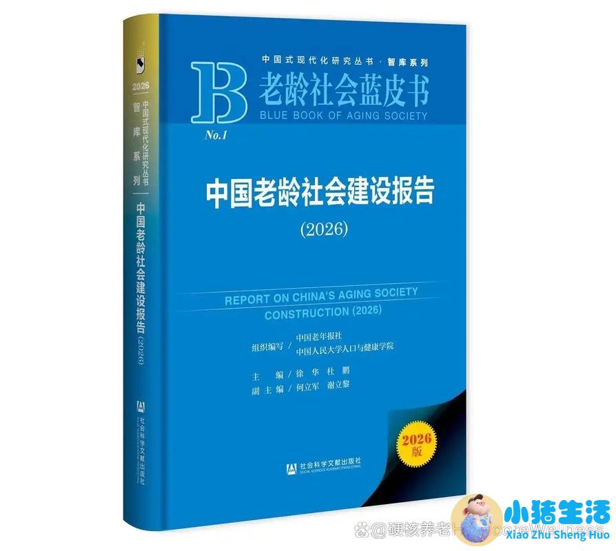 《老龄社会蓝皮书：中国老龄社会建设报