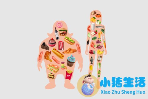 科学减肥ppt