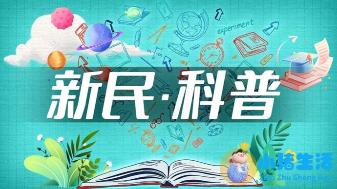 科普 | 科学减重，不只是吃得少动得多