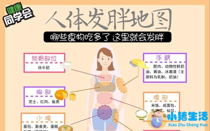 科学减肥ppt