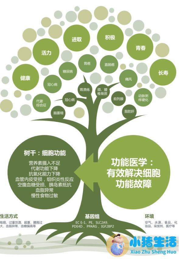 奥巴马医改的意义