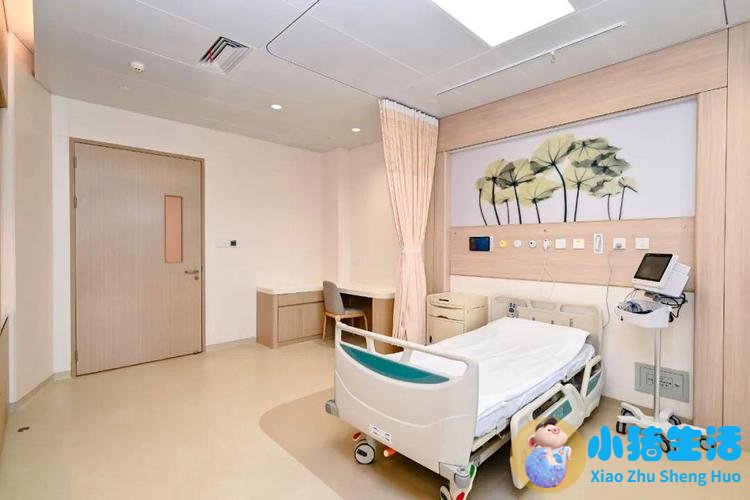 2026医学新闻