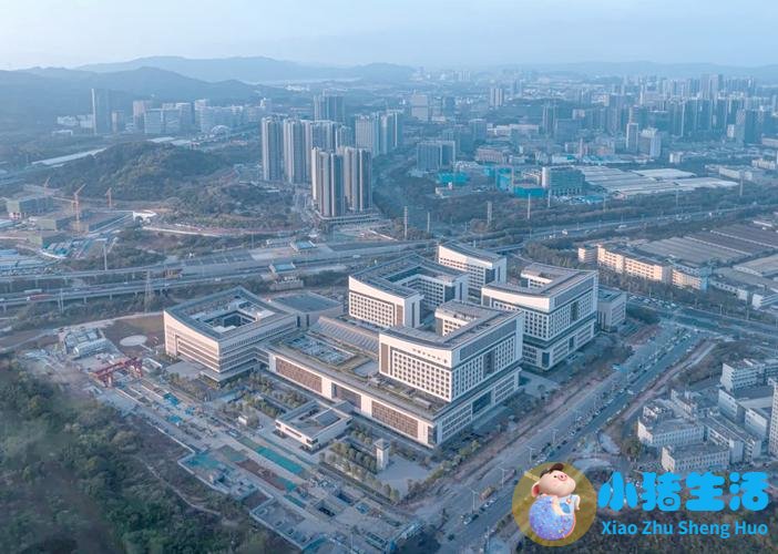 2026医学新闻