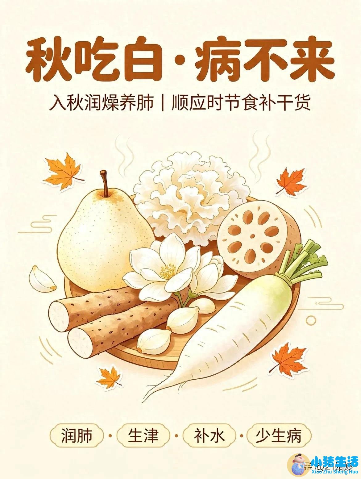 秋吃白，病不来｜入秋必学的润燥养肺干