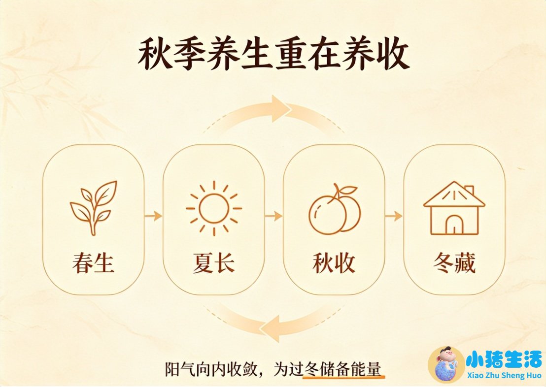 秋季养生小知识