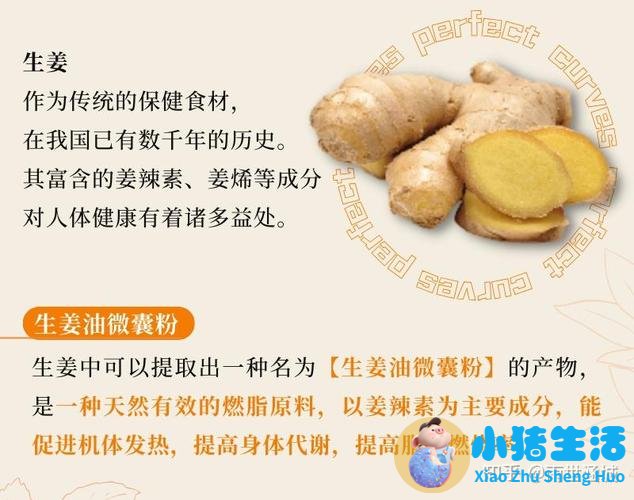 米饭vs红薯：减肥选哪个？数据告诉你红