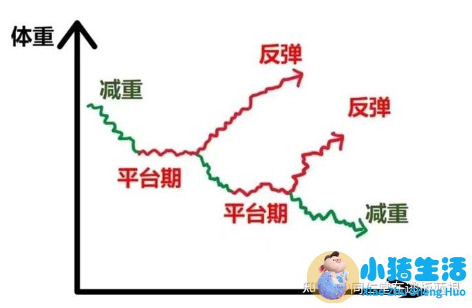 最科学有效的减肥方法