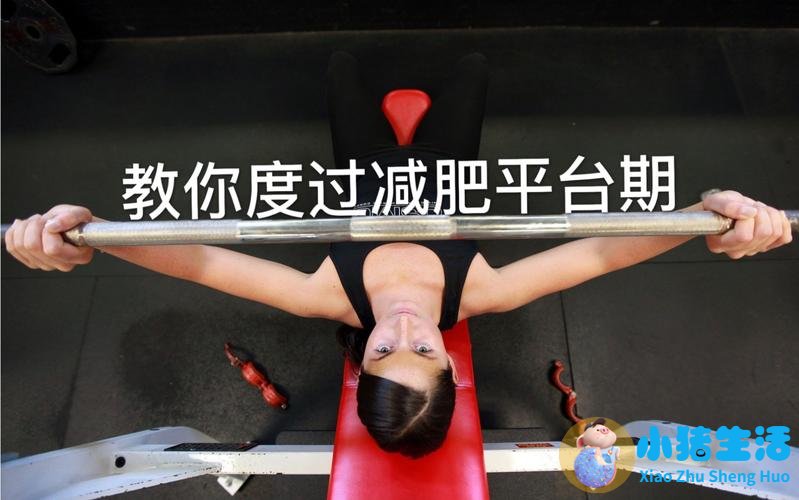 最科学有效的减肥方法