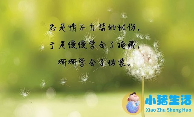 不追求那个女孩的说说