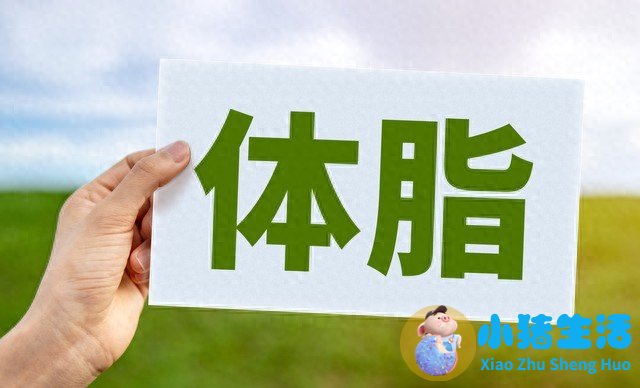 最科学有效的减肥方法