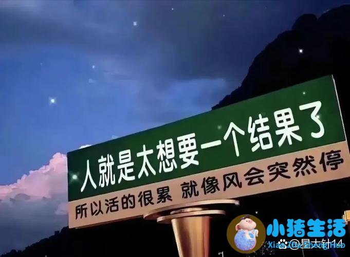 不追求那个女孩的说说