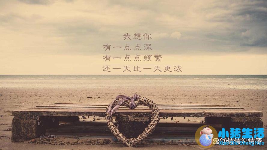 不追求那个女孩的说说