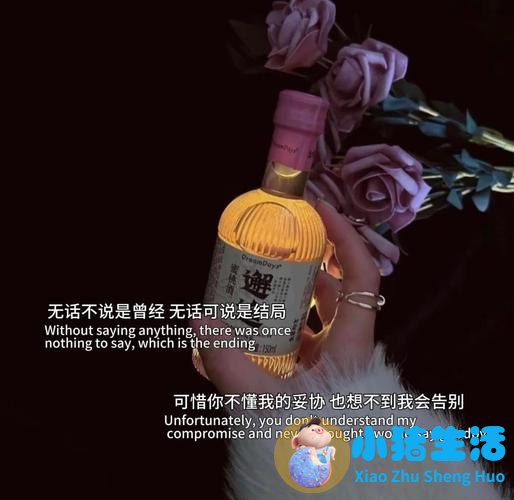 不追求那个女孩的说说