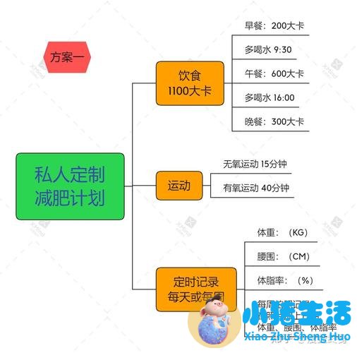 详细运动减肥计划