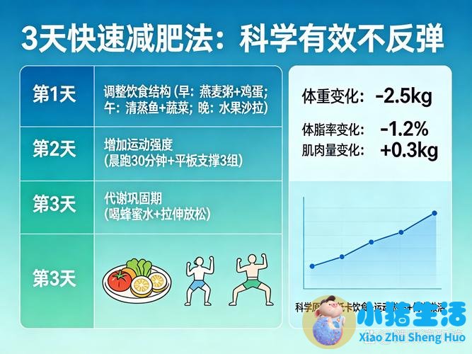 运动饮食减肥